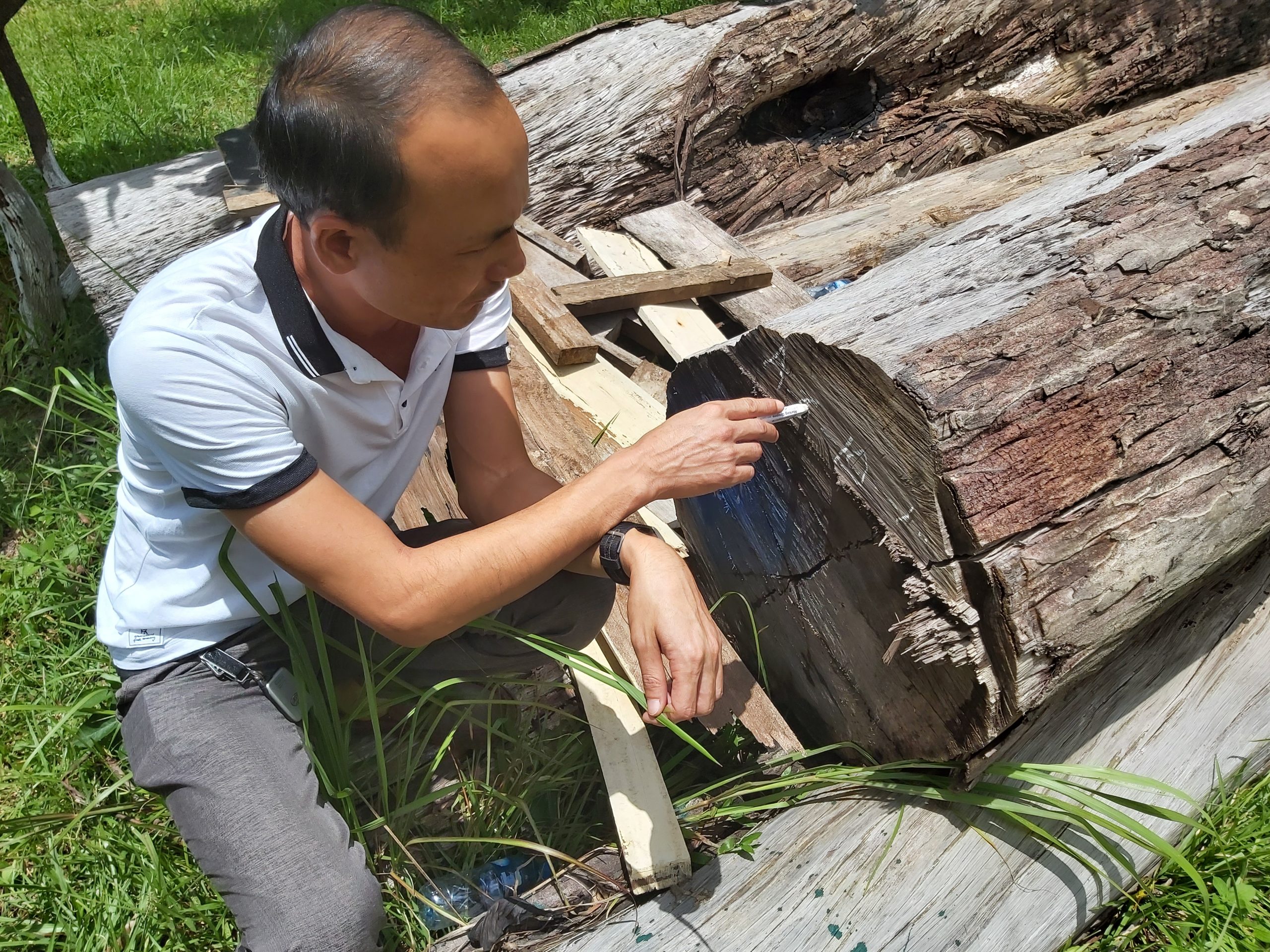 Training course on piloting of TLAS (Timber legality assurance system) elements