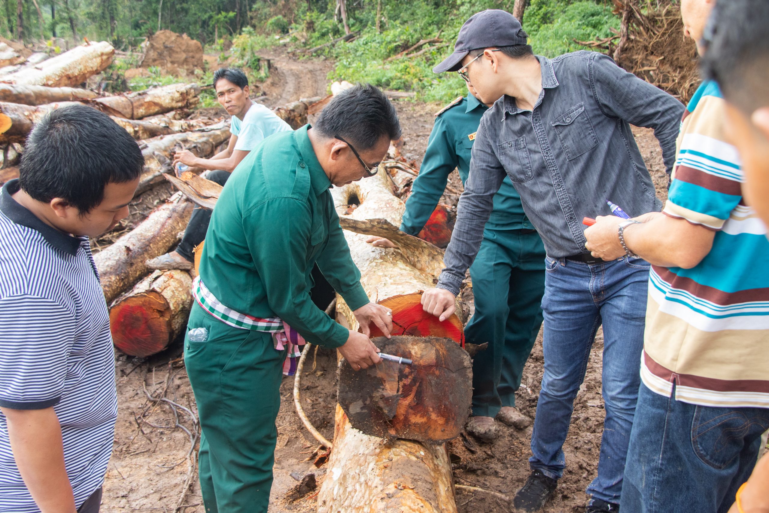 Inception workshop on testing of Timber Legality Assurance System (TLAS) elements in Nam Kong 3 (NK3) Hydropower Project in Attapeu Province