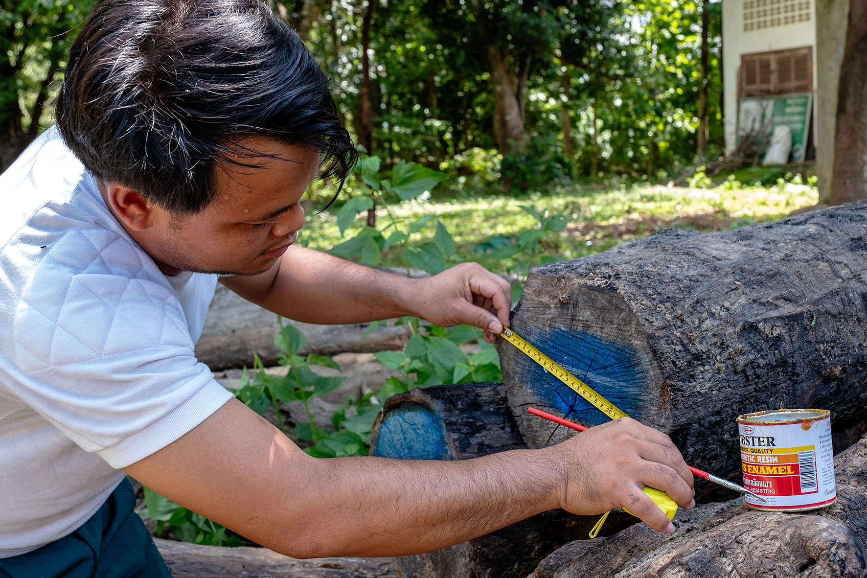 TechEx-3 concluded focusing on VPA transparency and legally verifiable timber importation