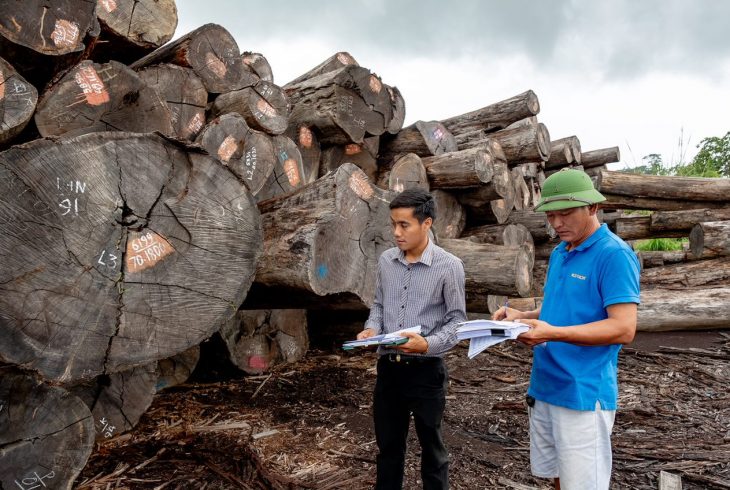 Lao Technical Working Groups (TWGs) develop verification procedures for the Lao Timber Legality Assurance System (TLAS)
