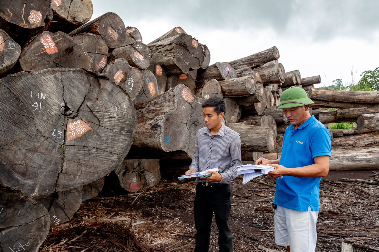 Lao Technical Working Groups (TWGs) develop verification procedures for the Lao Timber Legality Assurance System (TLAS)